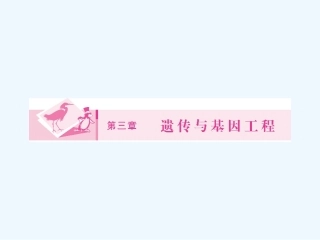 《金版新学案》2011高三生物一轮 课时1 细胞质遗传及基因的结构课件 选修3