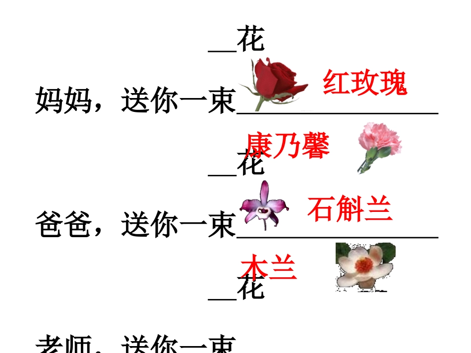《送你一束转基因花》课件_第3页