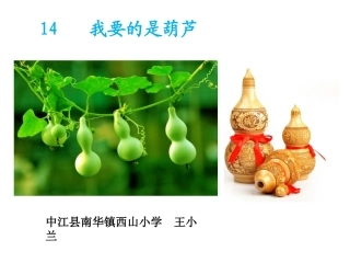 《我要的是葫芦》精品课件