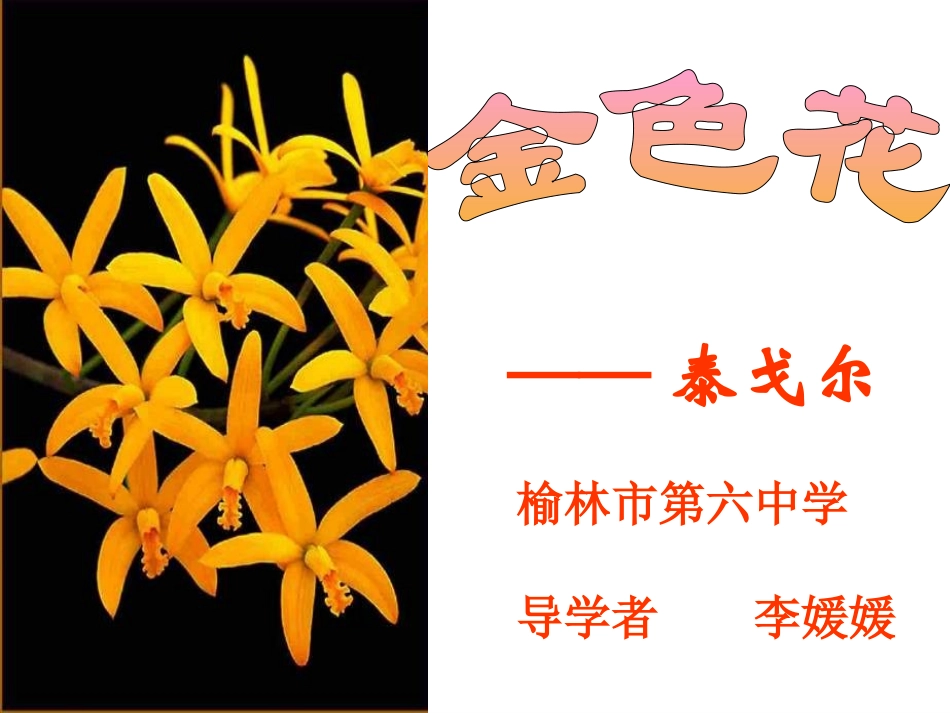 《金色花》教学课件_第1页