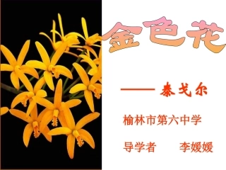 《金色花》教学课件