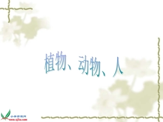 《植物、动物、人》课件