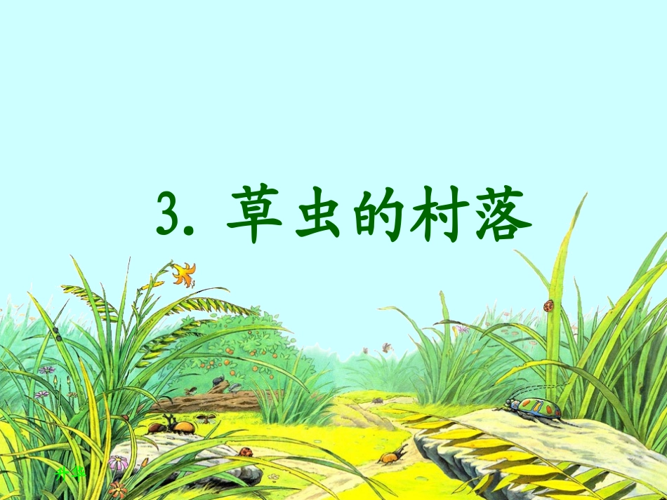 《草虫的村落》课件2_第1页