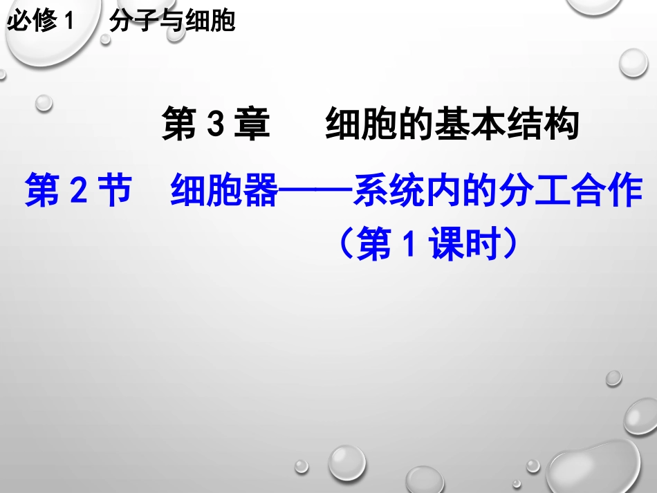 《细胞器—系统内的分工合作》课件（1）_第1页