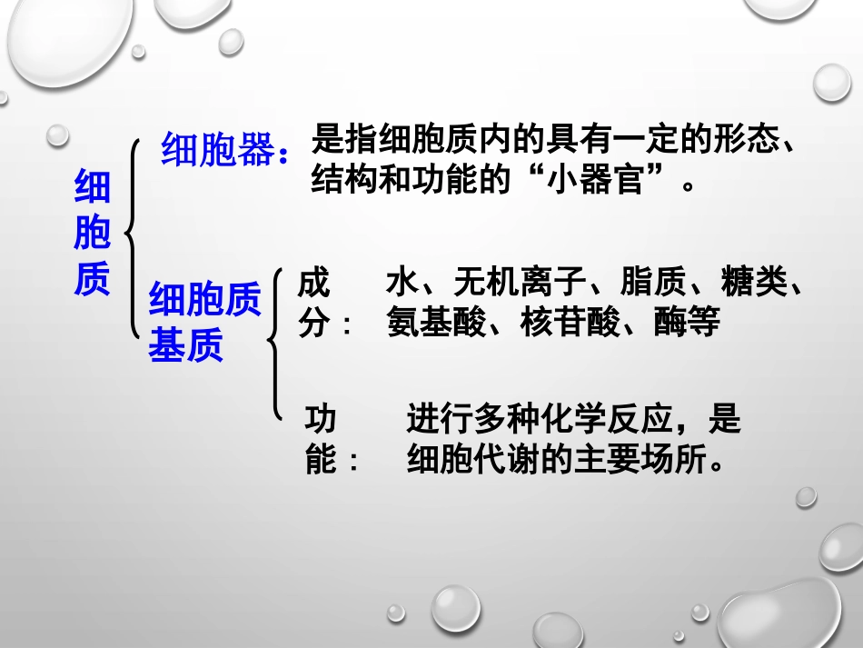 《细胞器—系统内的分工合作》课件（1）_第3页