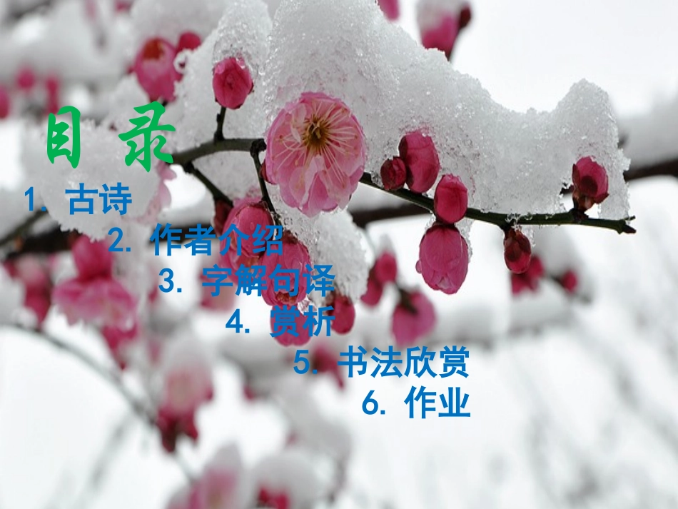 《雪梅》课件（陈倩雯平政镇六巷小学四年级上册）_第2页