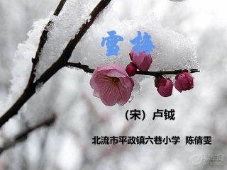 《雪梅》课件（陈倩雯平政镇六巷小学四年级上册）