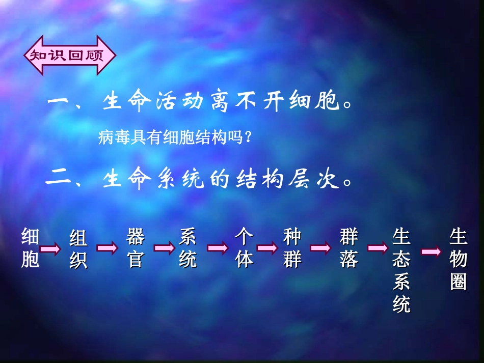 《细胞的多样性和统一性》_第2页