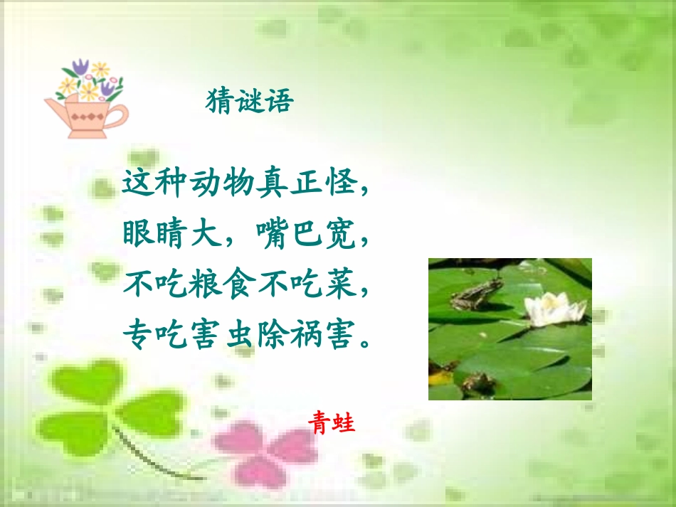 《青蛙看海》课件1_第1页