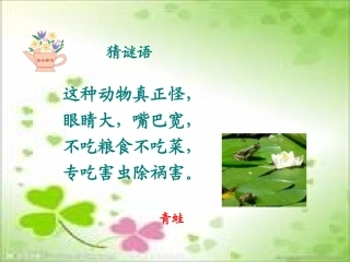 《青蛙看海》课件1
