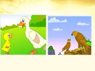 一次比一次有进步 (7)