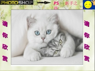 【备课参考】（川教版）九年级信息技术上册第5课《图像的简单处理》课件