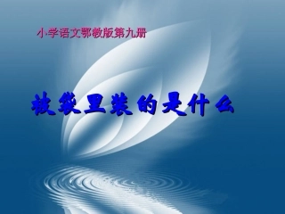 《被袋里装的是什么》教学课件(1)
