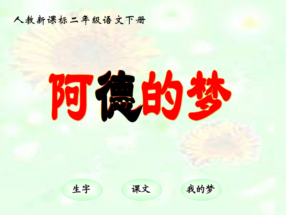 《阿德的梦》教学课件2 (3)_第2页