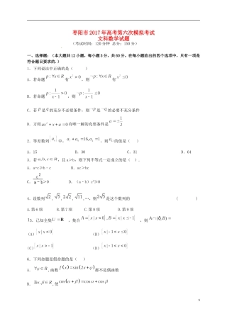湖北省枣阳市高三数学第六次模拟考试试题 文-人教版高三全册数学试题