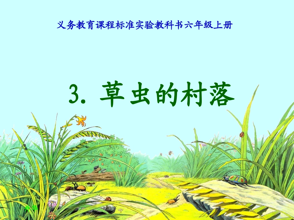 《草虫的村落》课件 (5)_第1页
