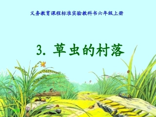 《草虫的村落》课件 (5)