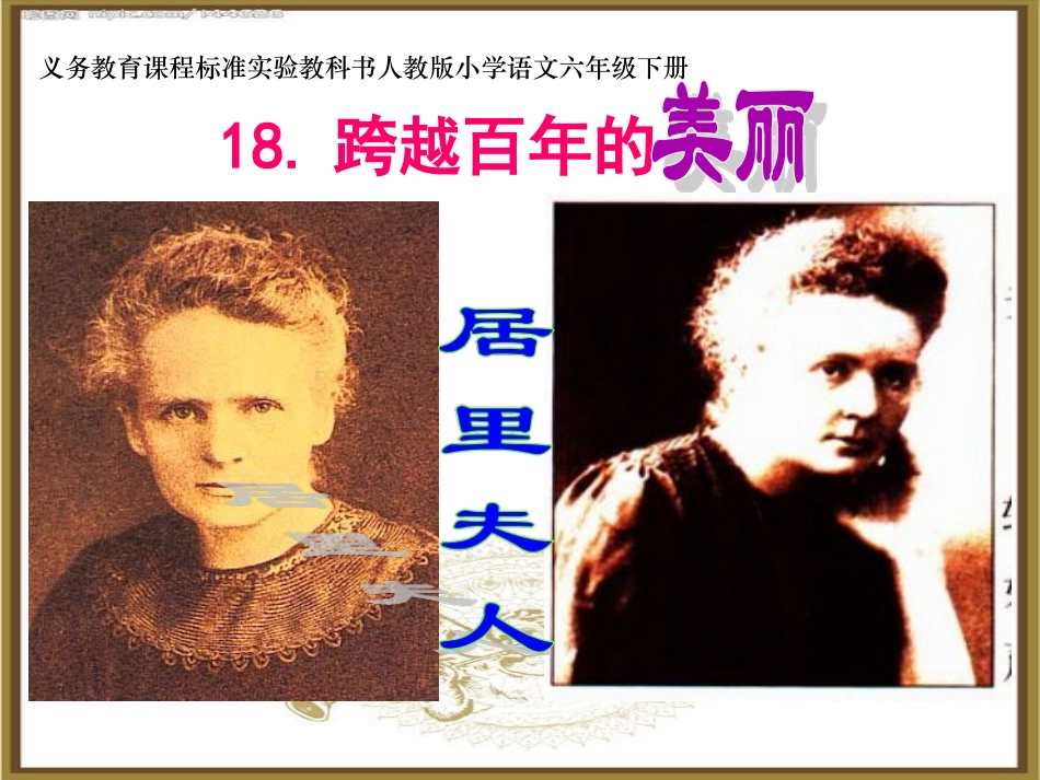 《跨越百年的美丽》课件 (2)_第1页