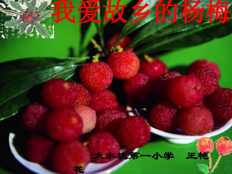《我爱故乡的杨梅》PPT_第1页