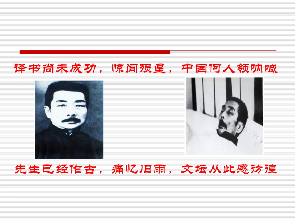 《记念刘和珍君》课件2_第2页