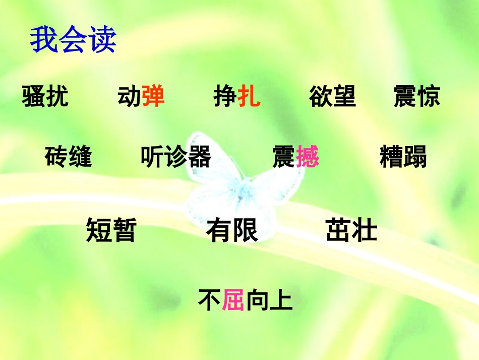 《生命-生命》课件_第3页