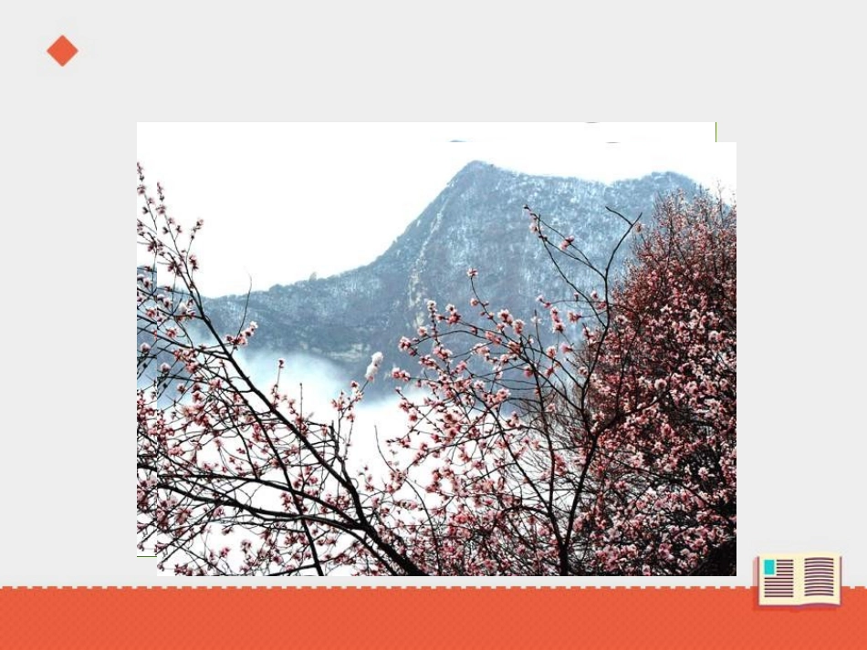 《燕子专列》课件 (3)_第3页