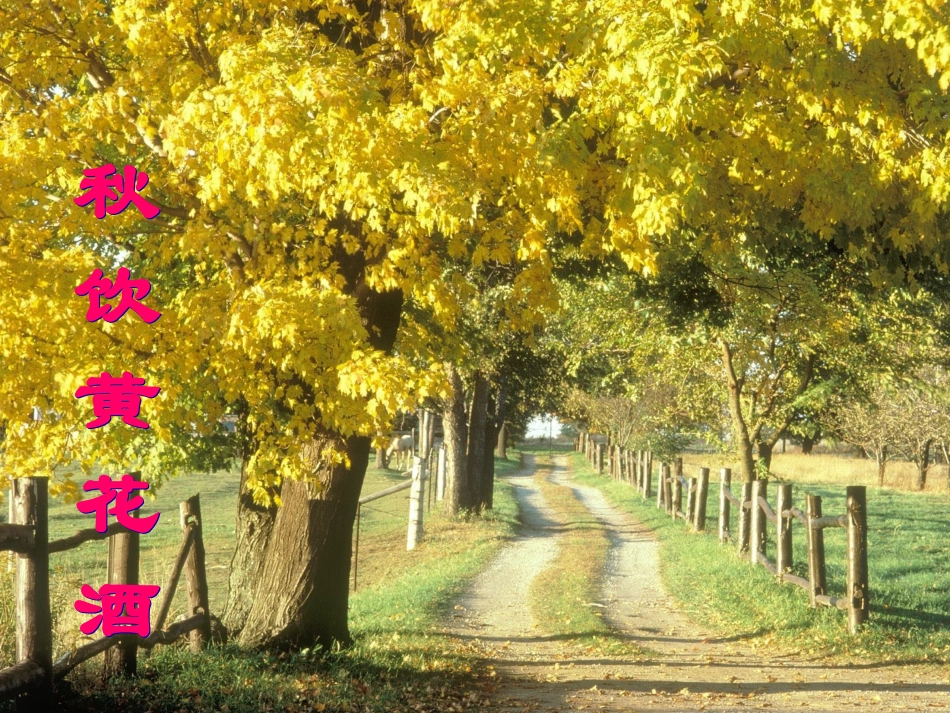 《济南的冬天》 (3)_第3页