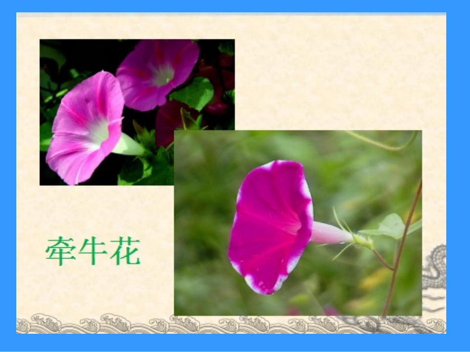 《花钟》课件 (6)_第3页