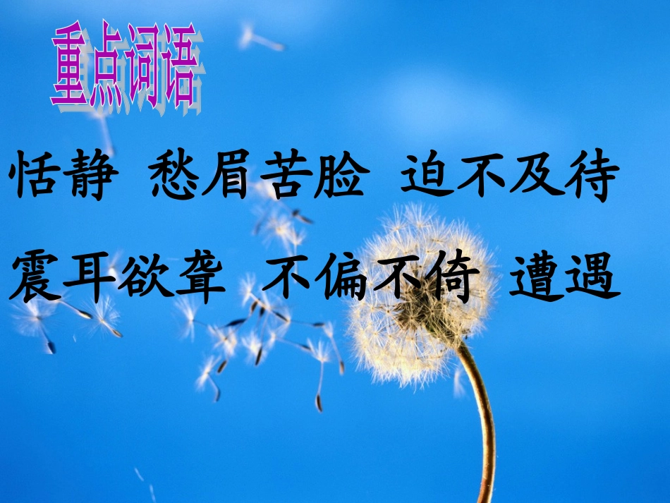 《蒲公英的梦》教研课PPT_第2页
