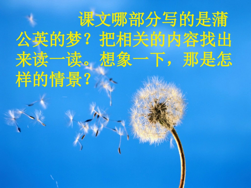 《蒲公英的梦》教研课PPT_第3页