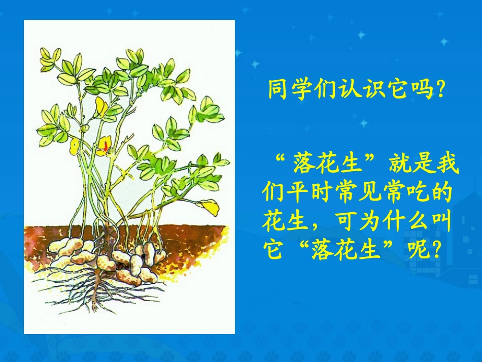 《落花生》课堂演示课件_第2页