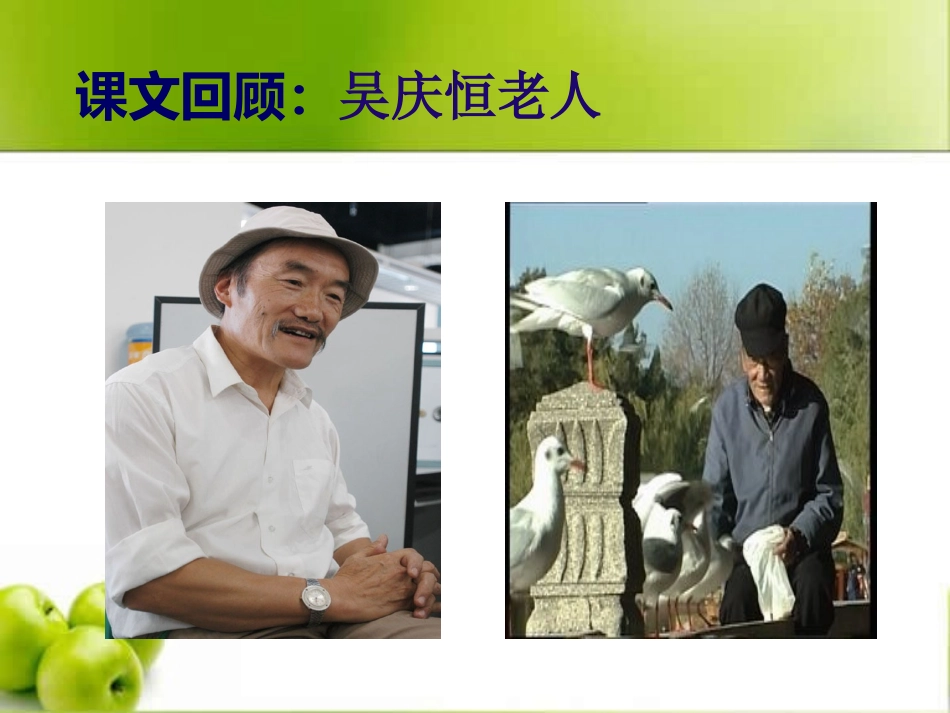 《老人与海鸥》课件 (3)_第2页
