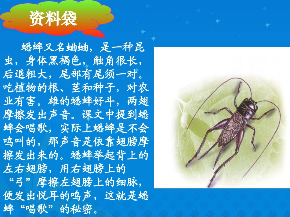 《蟋蟀的住宅》课堂演示课件2_第1页