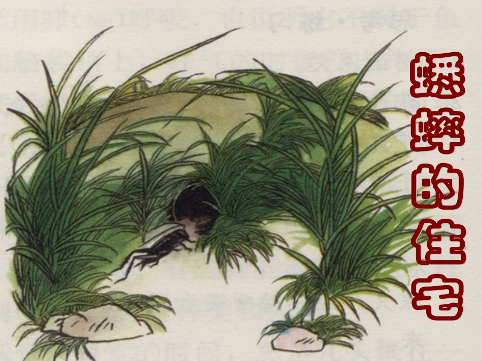 《蟋蟀的住宅》课堂演示课件2_第2页
