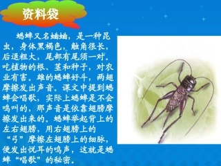 《蟋蟀的住宅》课堂演示课件2