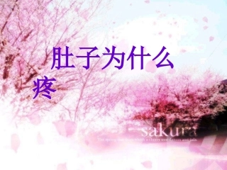 《肚子为什么会疼》课件