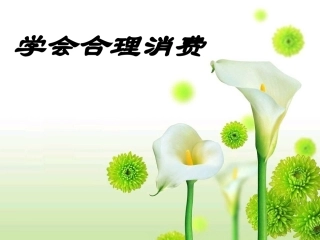 【人教版】思想品德九年级上册课件：73学会合理消费