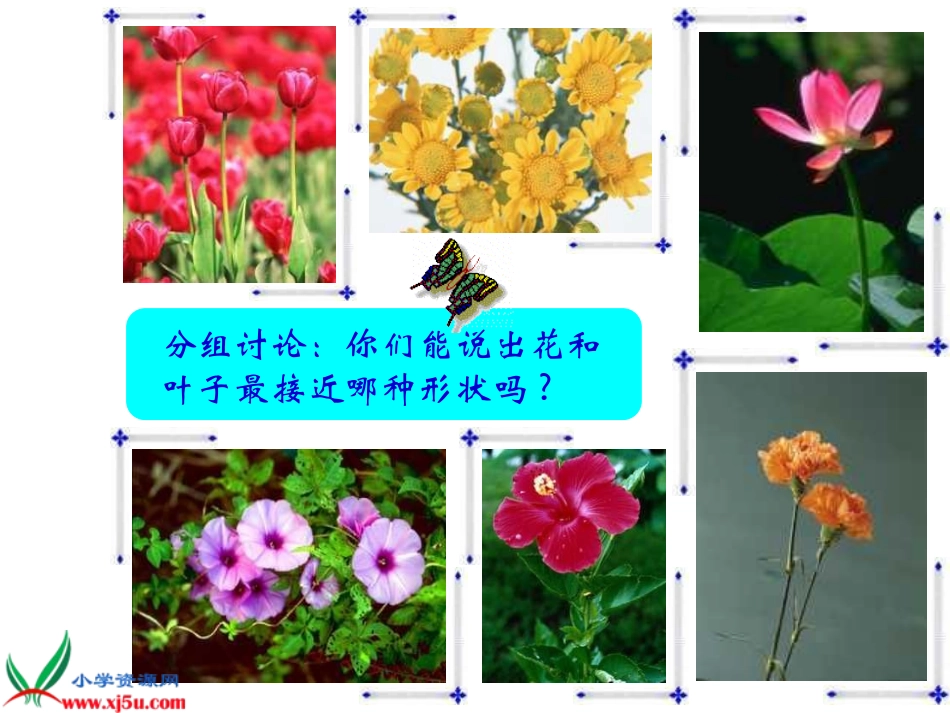 《茂密的花》课件(人美版二年级美术下册课件)_第3页