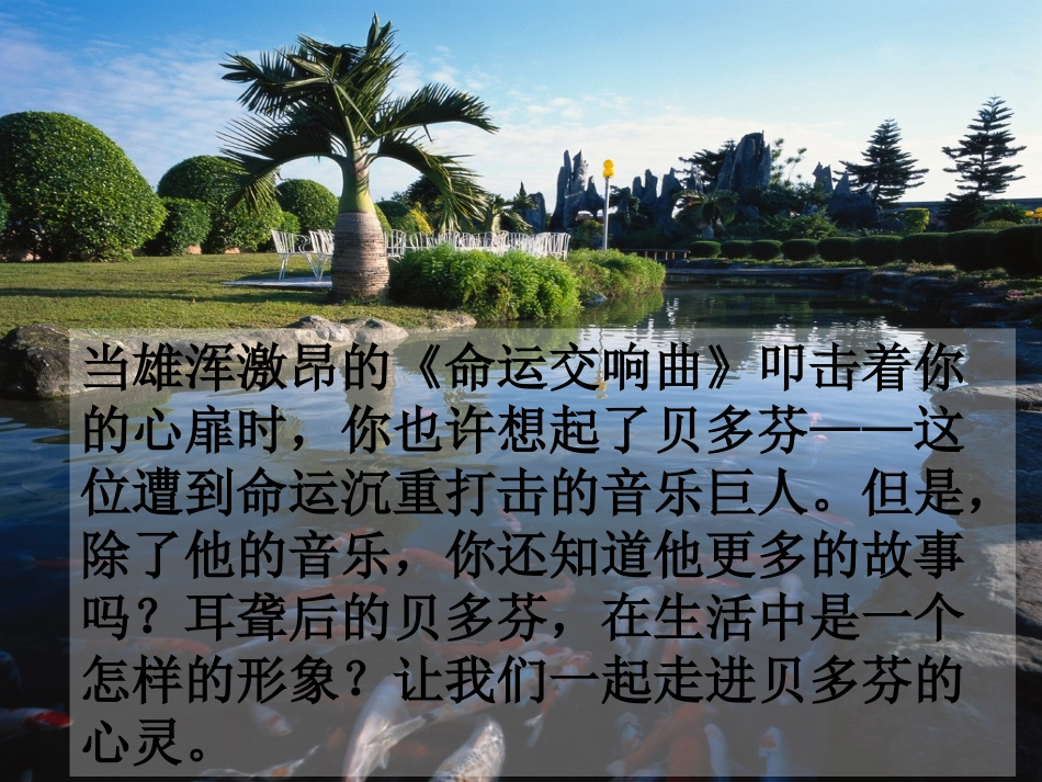 《音乐巨人贝多芬》01_第3页