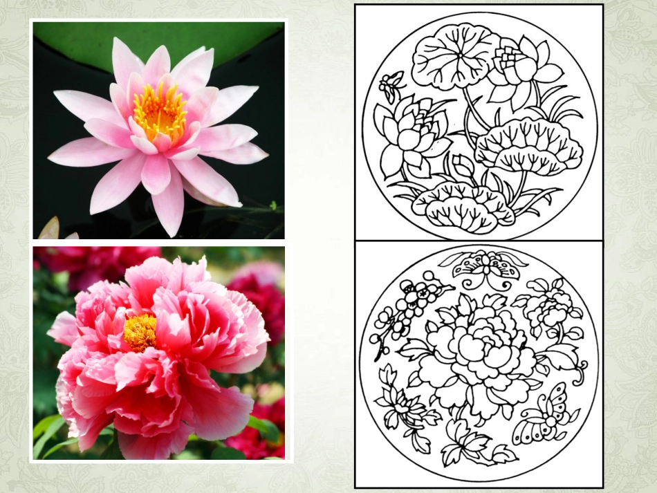 《扮靓生活的花卉纹样》课件3_第2页