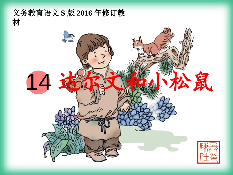 《达尔文和小松鼠》_第1页