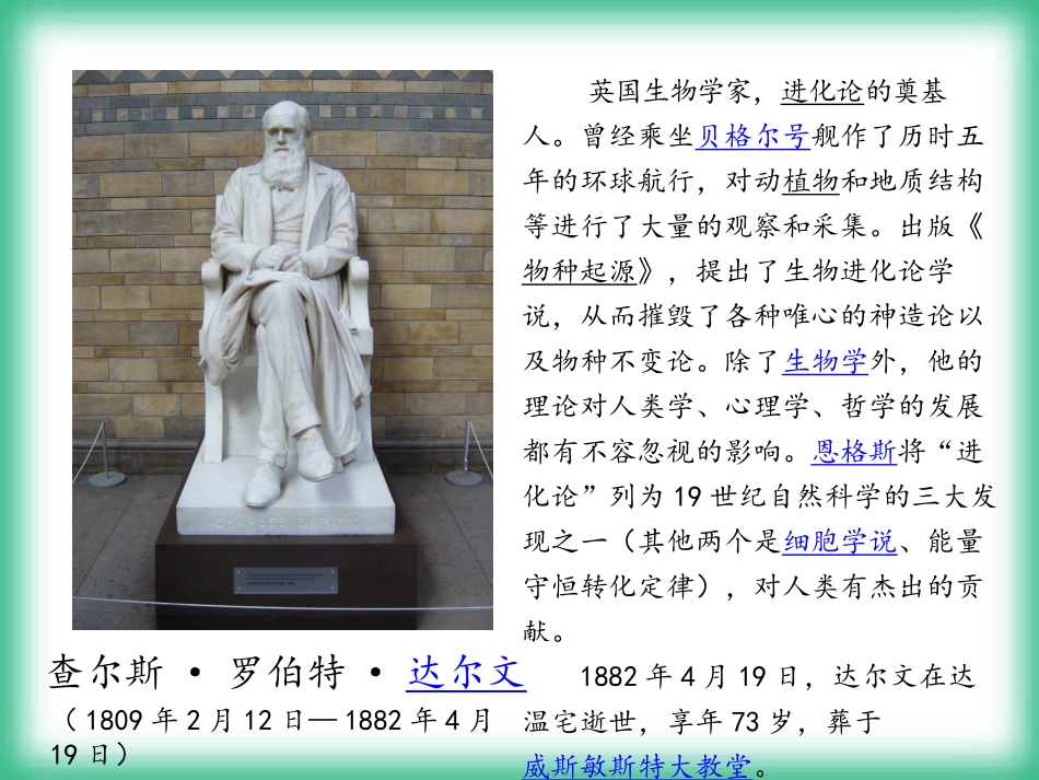 《达尔文和小松鼠》_第2页