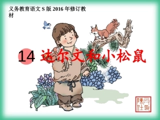《达尔文和小松鼠》