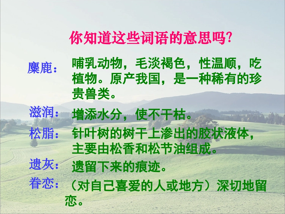 《这片土地是神圣的》教学课件1_第3页