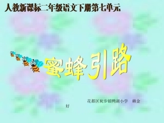 《蜜蜂引路》教学课件