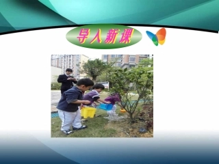 一年级上册语文——5爷爷和小树