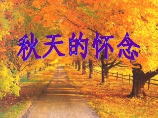 《秋天的怀念》二课时