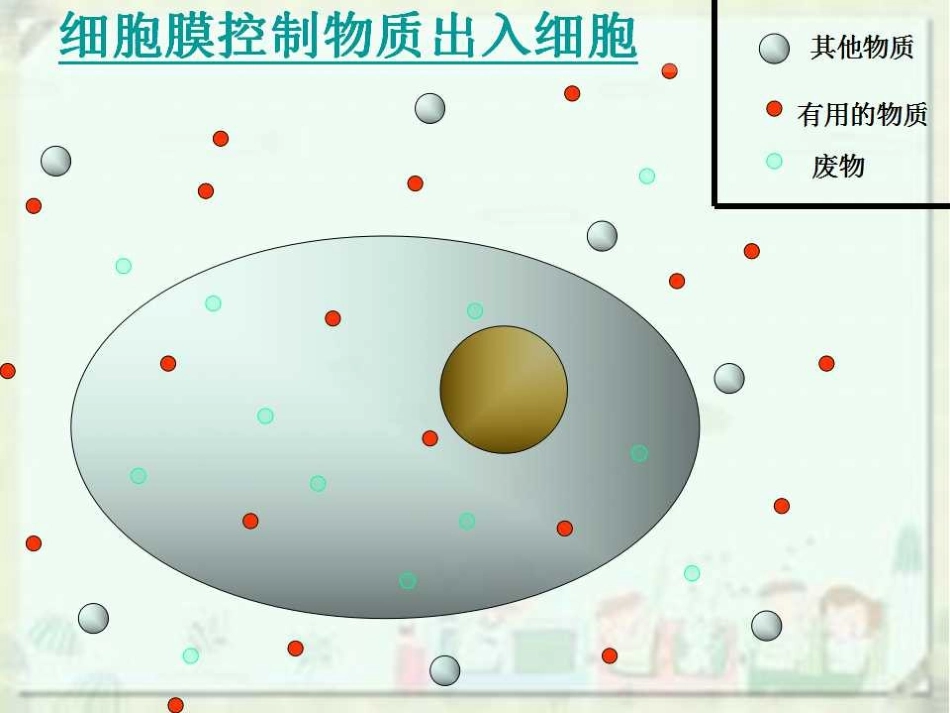 《细胞的生活》——孙艳侠_第2页