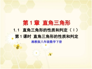 《直角三角形的性质和判定（Ⅰ）》第1课时参考课件