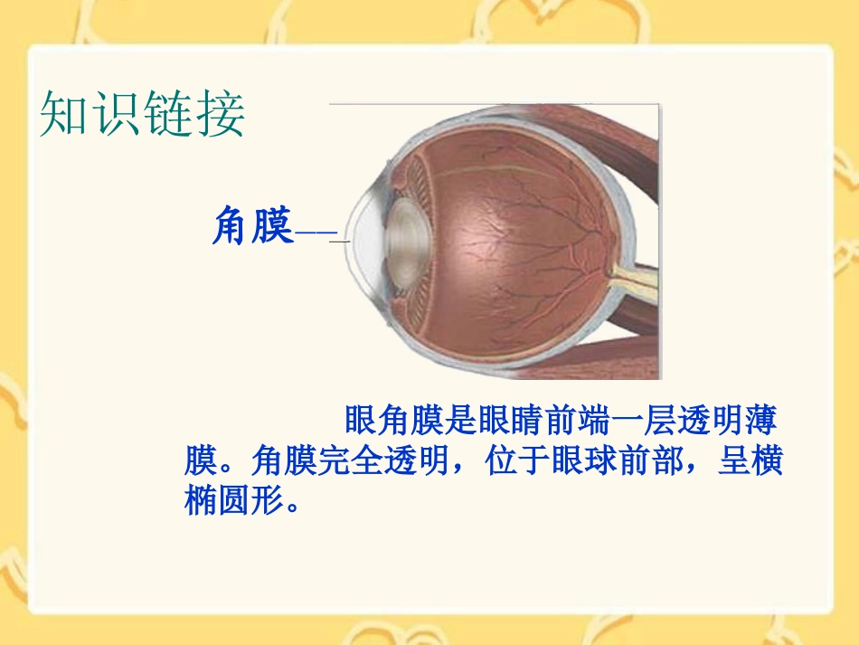 《永生的眼睛》课件(语文S版六年级下册课件2)_第2页